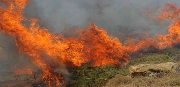 Λάρισα: Εκκρεμούν 162 δικογραφίες για φωτιές